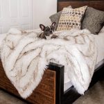 Paw Brands PupProtector Waterproof Throw Blanket, White