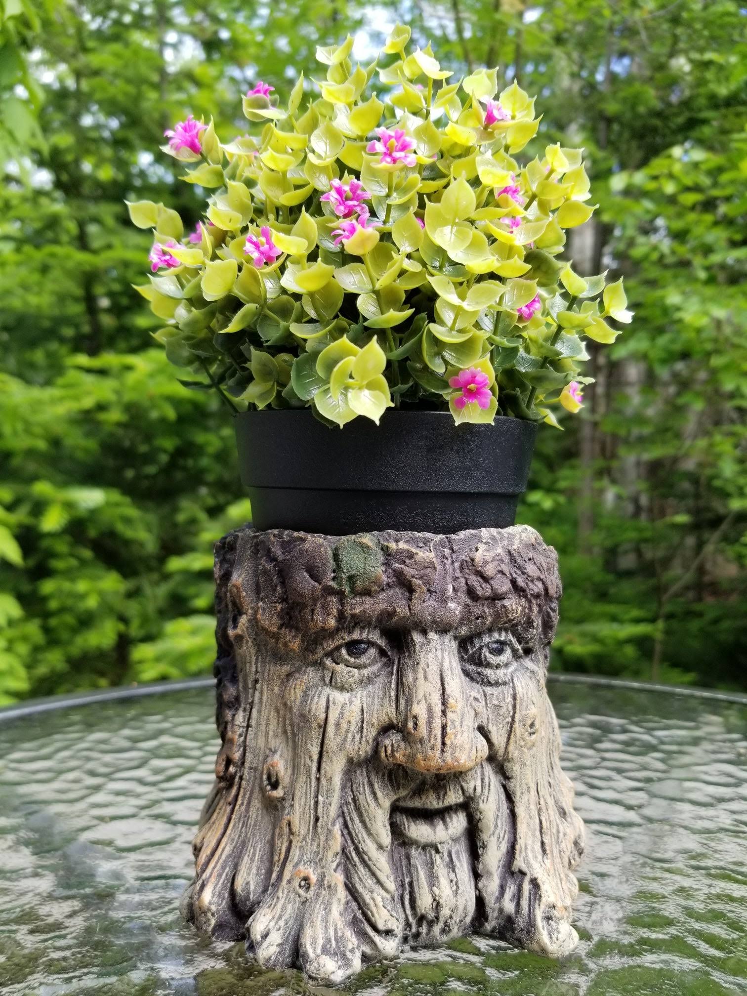 01221be750f879d82a8cb6dfa3c0901bee5b165e70112a29b1f09d9cac07e79f.jpg Bits and Pieces - Tree Face Garden Planter - Durable Polyresin Indoor-Outdoor Urn for Plants - Forest Inspired Whimsical - Image 1