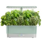 AeroGarden Harvest Slim with Gourmet Herbs Seed Pod Kit - Sage