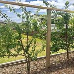 Espalar Post Mounted Heavy-Duty Espalier/Trellis Kit for Climbing Plants,Vines and Greenwalls (Wire Included)