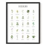 Haus and Hues Herb Pictures for Kitchen Wall Art - Kitchen Herbs Wall Art and Botanical Prints Herbs Art Kitchen Wall Art Herbs and Kitchen Art