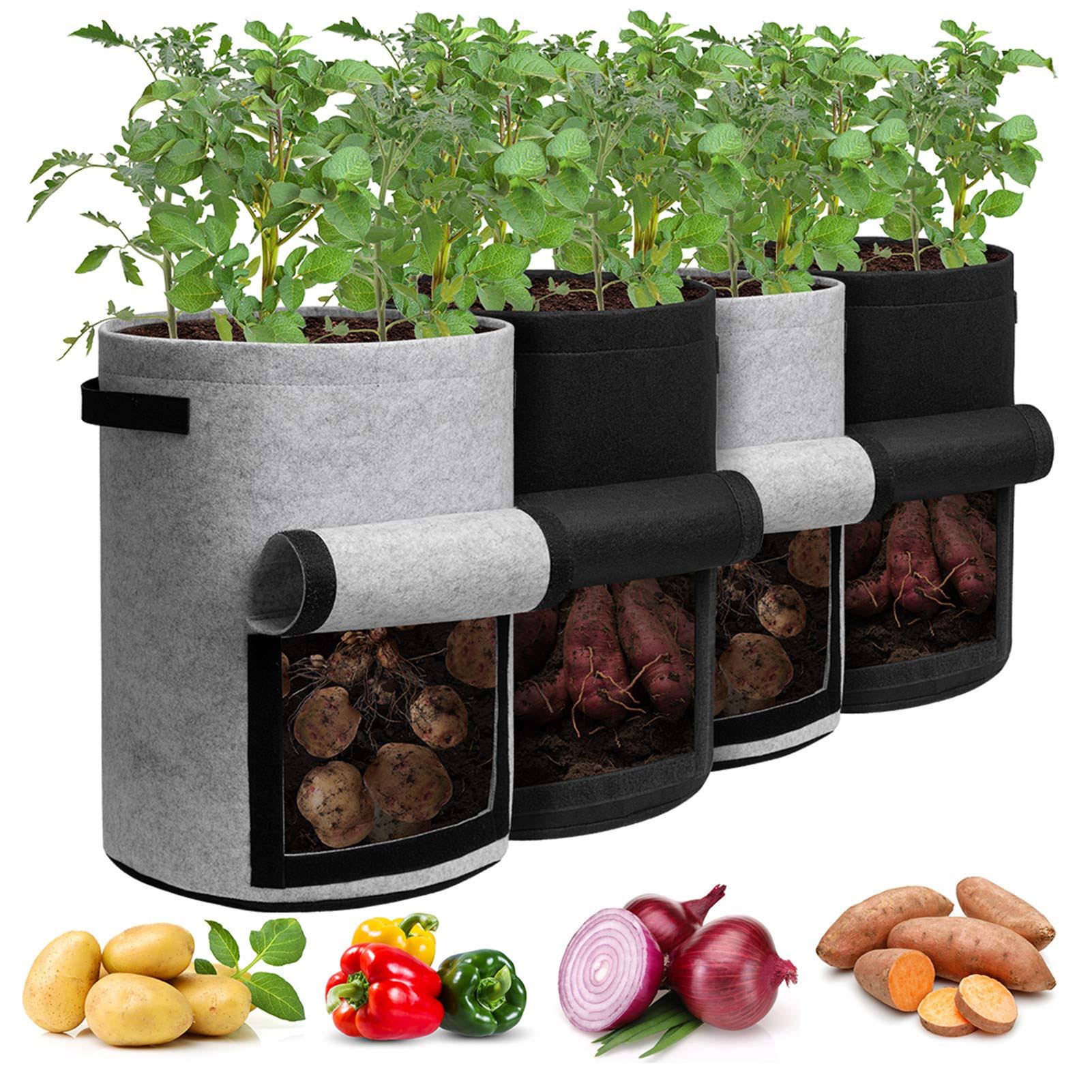 09cde180a99c022f783c9d039d35b7c3888d611f47f386b5654d8cf01419104f.jpg Homyhoo Potato Grow Bags with Flap 10 Gallon, 4 Pack Planter Pot with Handles and Harvest Window for Potato Tomato and Vegetables, Black and Gray - Image 1