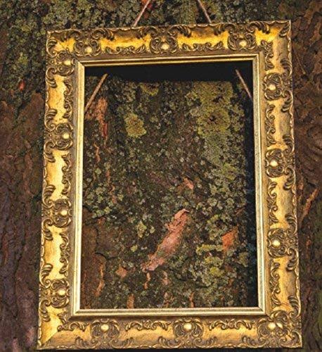 0e76e5d7588e5c83a485ac9afb02ce38aabe7c8aea1d4ad66ad071e1b22691c5.jpg Memory Box Wide Ornate Rococo Gold Certificate Frame with A Vintage Feel for Gallery Walls or Tabletop Displays Muse 11��X8.5�� - Image 1