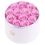 NATROSES Handmade Preserved Roses in A Box, Long Lasting Purple Roses, Preserved Flowers Gifts for Her Valentines Day Gifts, Christmas, M