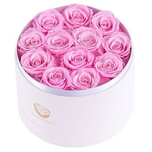 0fbce4bd95924610de6fd6de212c0df69e6f0e33dfc1f654241c3338e4948d67.jpg NATROSES Handmade Preserved Roses in A Box, Long Lasting Purple Roses, Preserved Flowers Gifts for Her Valentines Day Gifts, Christmas, M - Image 1