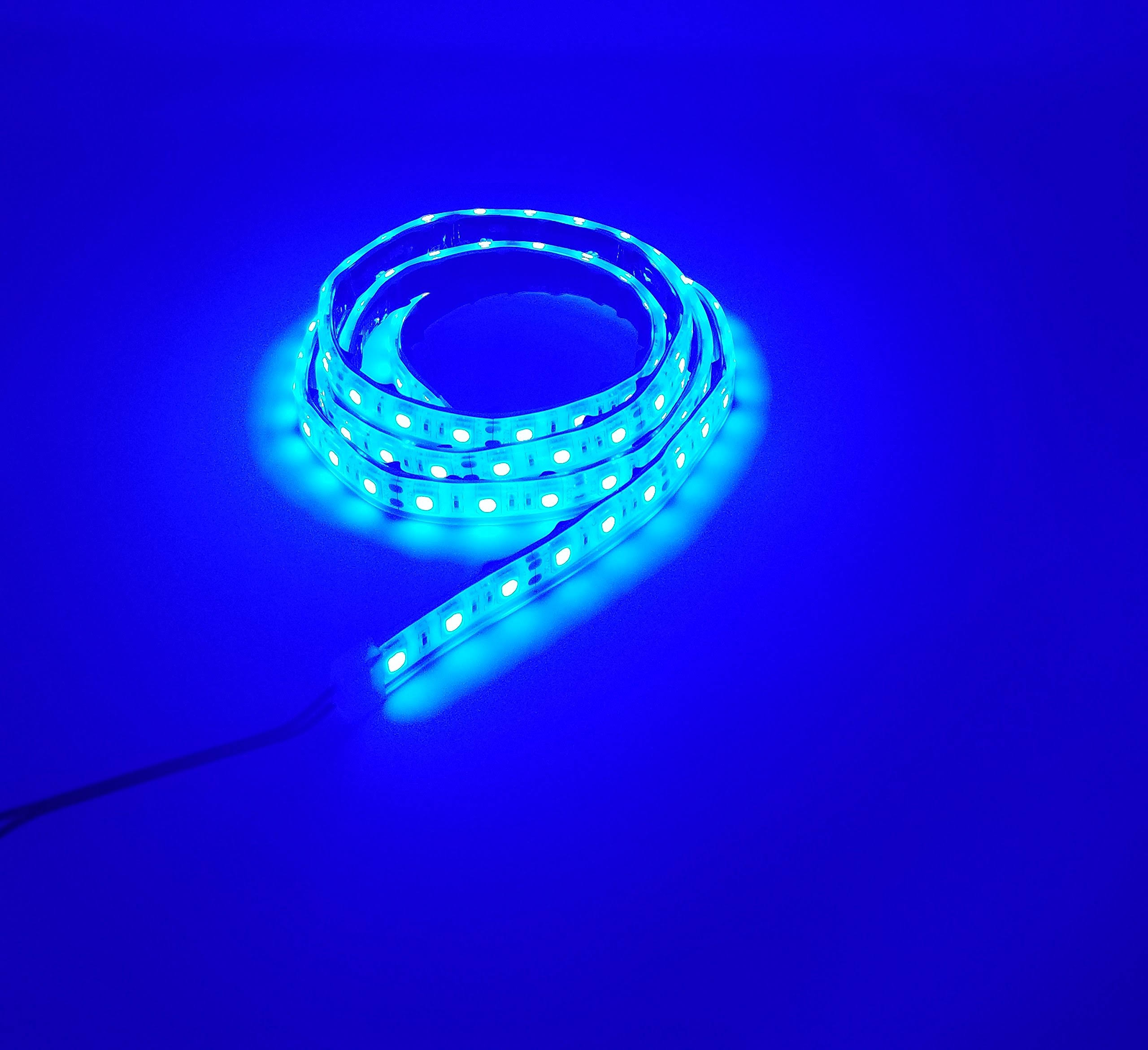 10868d2e2e6beb3b952a1fd03b571f56cee219e4c4f95ab406467d62a22c29e8.jpg Marine Submersible LED Light Strip 12V 1.2m BLUE, LED rope lights, Waterproof Led Lights - Image 1