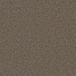 Durango Delight III Basin Creek Brown 54-oz sq yard Solution-dyed polyester Textured Indoor Carpet