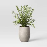 14" Privet Artificial Plant - Threshold Designed with Studio McGee