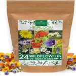 Home Grown 90,000+ Wildflower Seeds - Bulk Perennial Wild Flower Seeds Mix - 3oz Flower Garden Seeds for Attracting Bees, Birds & Butterflies - 24