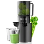 Canoly 4.1 Inch Reversible Masticating Juicer for Fruits