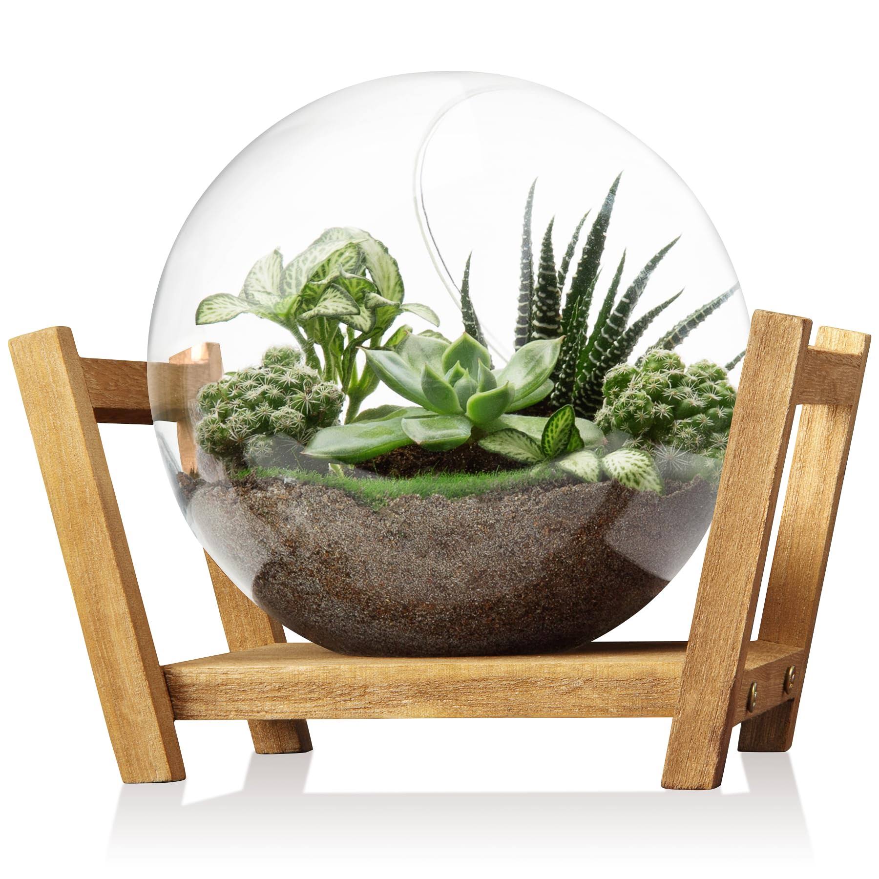 1444b250353691b02fda81904c3a52a335bdda9dfcf15318a98551dcff811706.jpg Monoture Glass Plant Terrarium with Wooden Stand As Decoration for Succulent,Desktop Plant Propagation Stations Air Plant Propagation Vase for - Image 1
