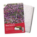 BloomingBulb Moss Verbena Seeds (Flower Mat) | 51124