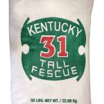 Barenbrug 491145 50 lbs. Kentucky 31 Tall Fescue Grass Seed