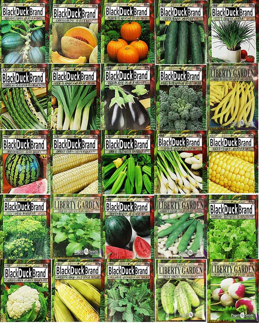 1aa8e0e2b1eb194d22f5e09a91784a9eef06f58a6b12dc9501f4cc83b568dfe0.jpg Set of 25 Premium Vegetable & Herb Seeds - 25 Deluxe Variety Premium Vegetable & Herb Garden 100% Non-GMO Heirloom - Image 1