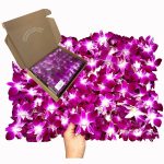 Miami Fresh Orchid Flower OrchidClub USA Sunne Tropical Loose Bloom Head DIY Lei Food Drink Decoration (100 Purple)