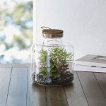 Better Homes & Gardens Medium Clear Glass Terrarium, 10 x 10 x 12 in, Size: 10 in Large x 10 in W x 12 in H