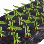 4 ft. x 12 ft. Easy-Plant Weed Block for Raised Bed Outdoor Garden Weed Rugs with Planting Hole Diameter 3 in.