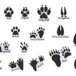 Mozamy Creative Animal Tracks Wall Decals (18 Count) Animal Wall Decals Animal Tracks Wall Decor Boys Room Wall Decals Removable, Black