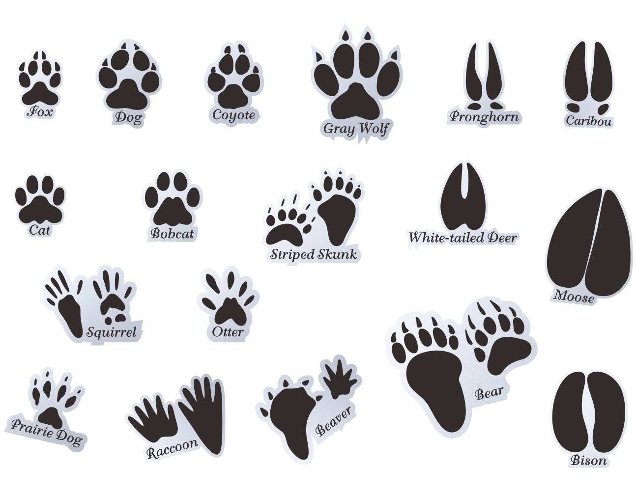 1e6412374702bdc20bcf2f39dffd0cf89c91b6dae369b699b9c37062f872012b.jpg Mozamy Creative Animal Tracks Wall Decals (18 Count) Animal Wall Decals Animal Tracks Wall Decor Boys Room Wall Decals Removable, Black - Image 1