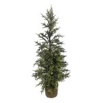 Ashland 3' Pine Tree in Basket - One Size - Each