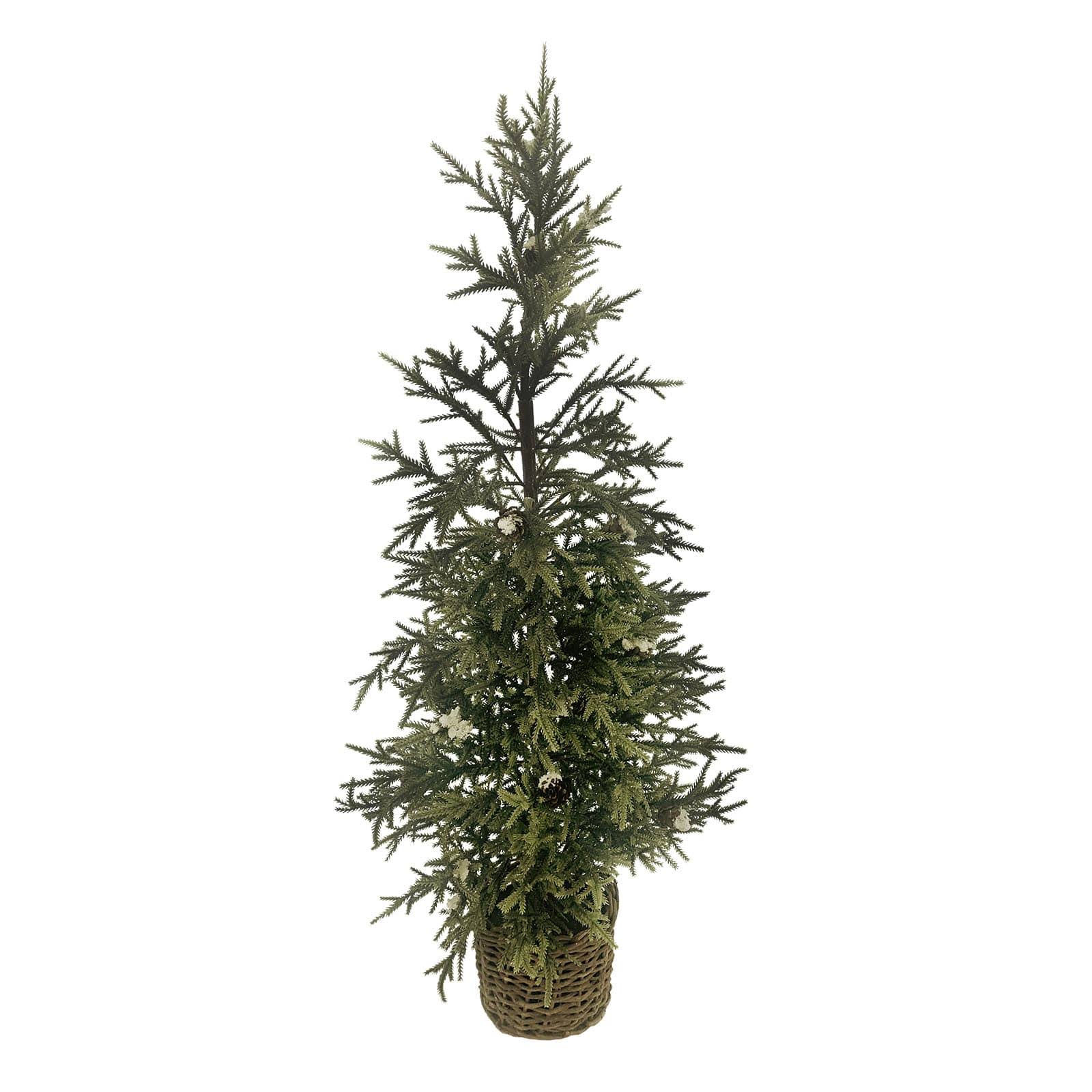 1f330676d953714f4428f9f65fd8331623d61f4bd0614e49ae29e9c073bdeaac.jpg Ashland 3' Pine Tree in Basket - One Size - Each - Image 1