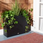 Safavieh Rita Flower Rack - Black