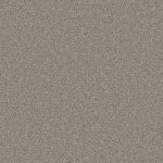 Royal Flush II High Card Tan 70-oz sq yard Solution-dyed polyester Textured Indoor Carpet