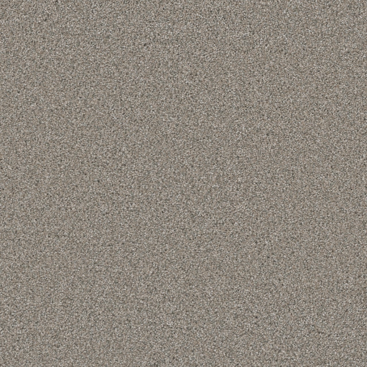 25594c35b3131d129b2153fdb3927b90f7a3adab56e5765df5dea240857d963f.jpg Royal Flush II High Card Tan 70-oz sq yard Solution-dyed polyester Textured Indoor Carpet - Image 1