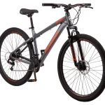 29" Durham Mountain Bike, 21 Speeds, Gray