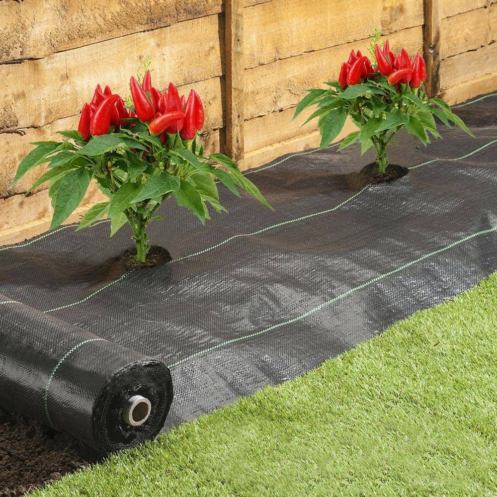 2740a328b1bdb8b5566aa7fbbf7a689dfe640f72c2fcecd0c3afad6b782eb0c8.jpg 4 ft. x 6 ft. Easy-Plant Weed Block Burlap for Raised Bed Outdoor Garden Weed Barrier with Planting Hole 4 in. Dia - Image 1