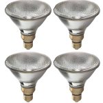 GE Halogen Light Bulb, Energy Efficient PAR38 Flood Light Bulb, 38-Watt, 520 Lumen, Medium Base, Indoor and Outdoor Flood Light Bulb (4 Bulbs)