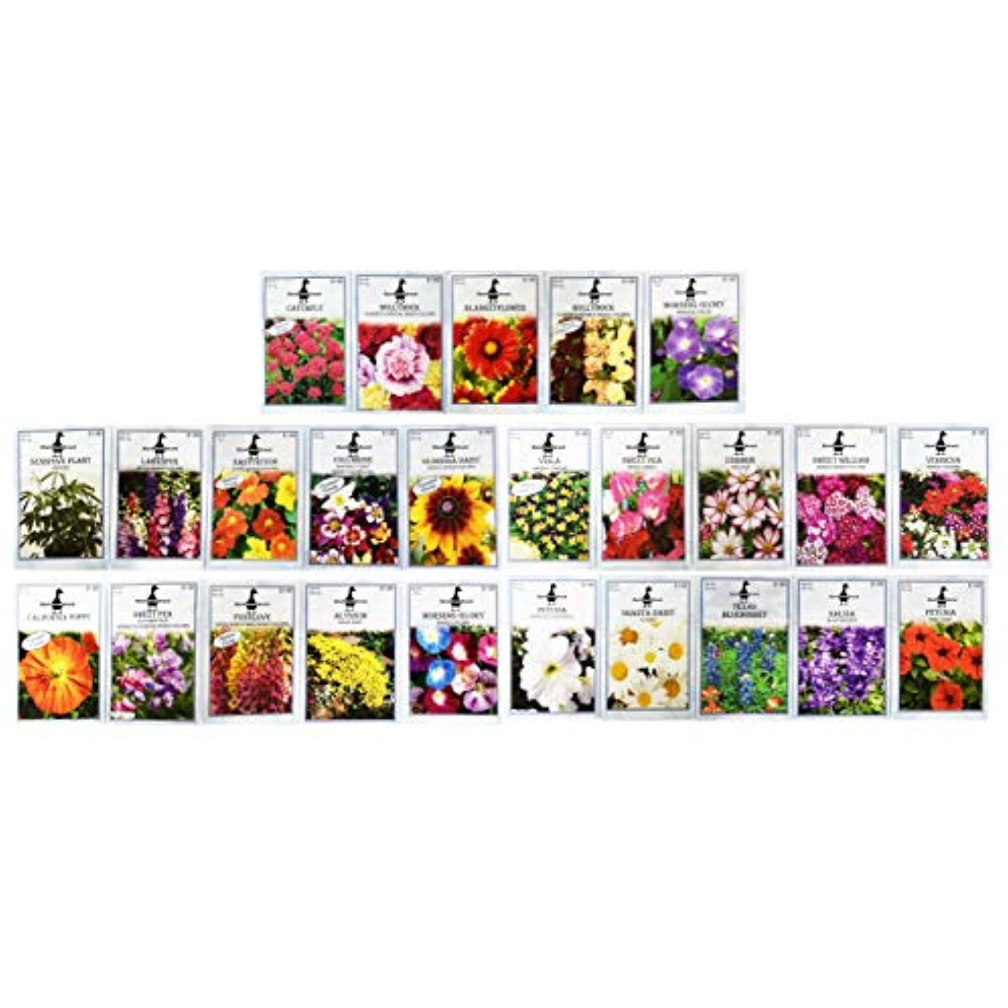 2b2dfeaa16bc9106514d18fff52ca5ca5d8ea5c6fcf3dbaabfcdd1778310fd60.jpg Black Duck Brand Set of 25 Premium Selection Flower Seed Packets! Flower Seeds in Bulk - 25 Deluxe Varieties! - Image 1
