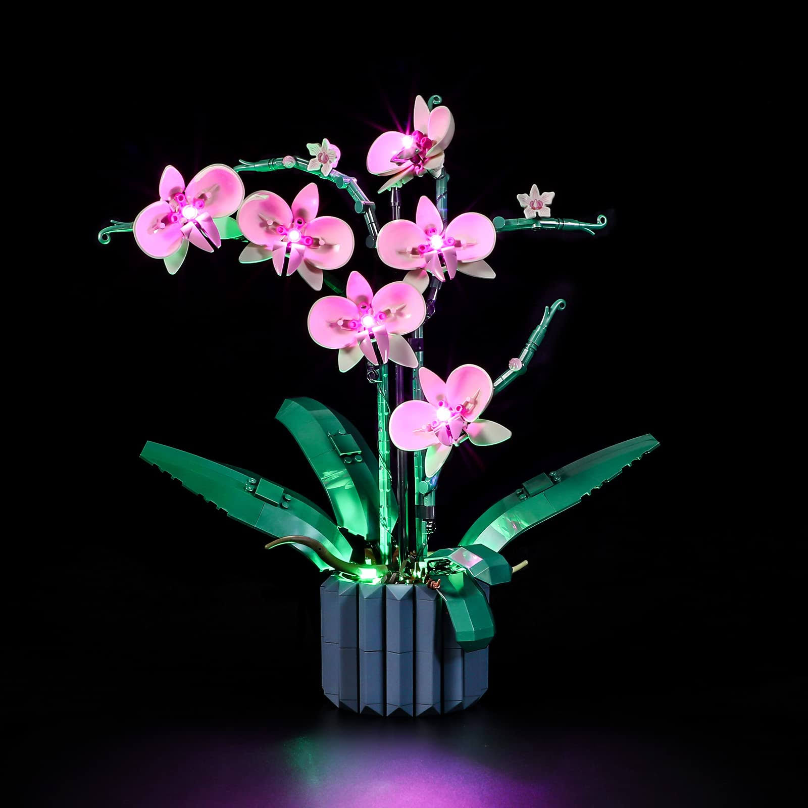 2c5aeffe8ad25b39200173f72e87aba3e07b191ac66ab6f47c6133ec2f4b5acd.jpg Lightailing Light for Lego-10311 Orchid - LED Lighting Kit Compatible with Lego Building Blocks Model - Not Included The Model Set - Image 1