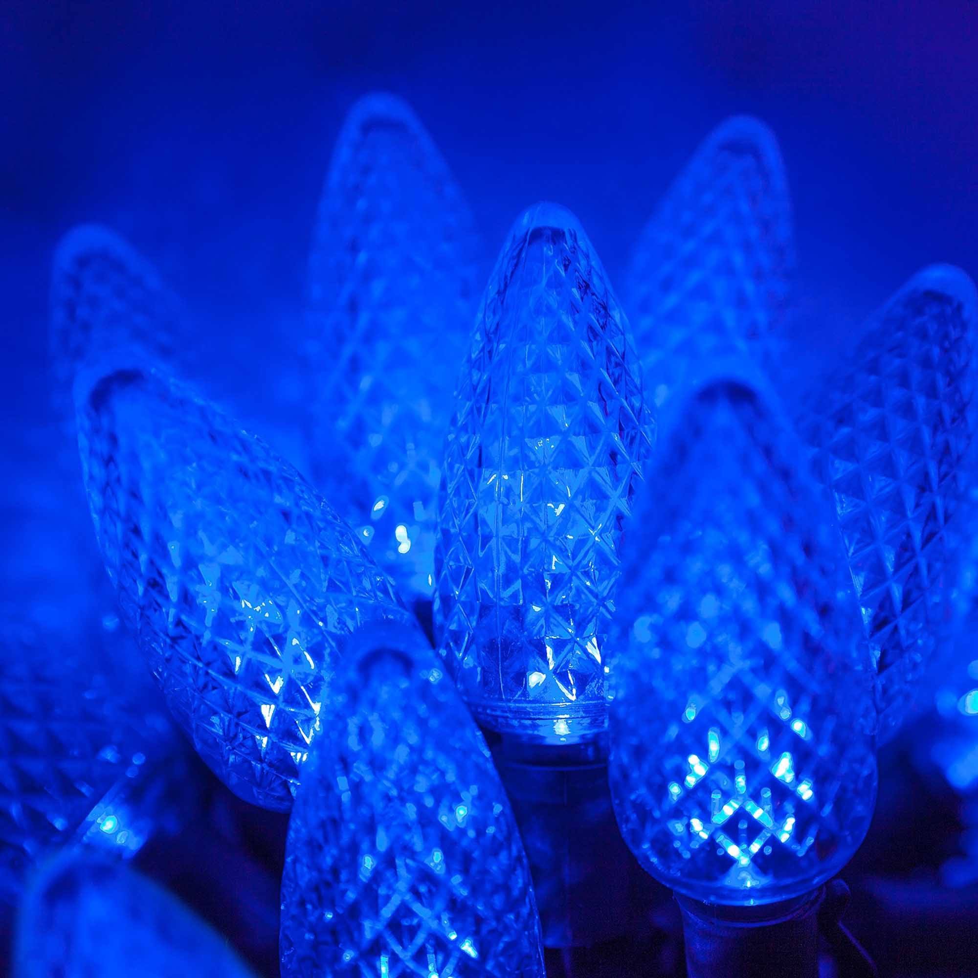 2cd31f0e9baafdfa755cb3d5ed2e2f4be638ad993ead88bcb3d59169ca525172.jpg Wintergreen Lighting 25 Light C9 LED Christmas Lights, Blue - Image 1