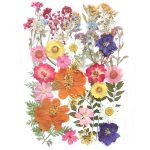 Ahtong 17 Types 48pcs Real Dried Pressed Flowers Leaf Plant Herbarium for DIY Resin Jewelry Making Floral Decors(Colorful)