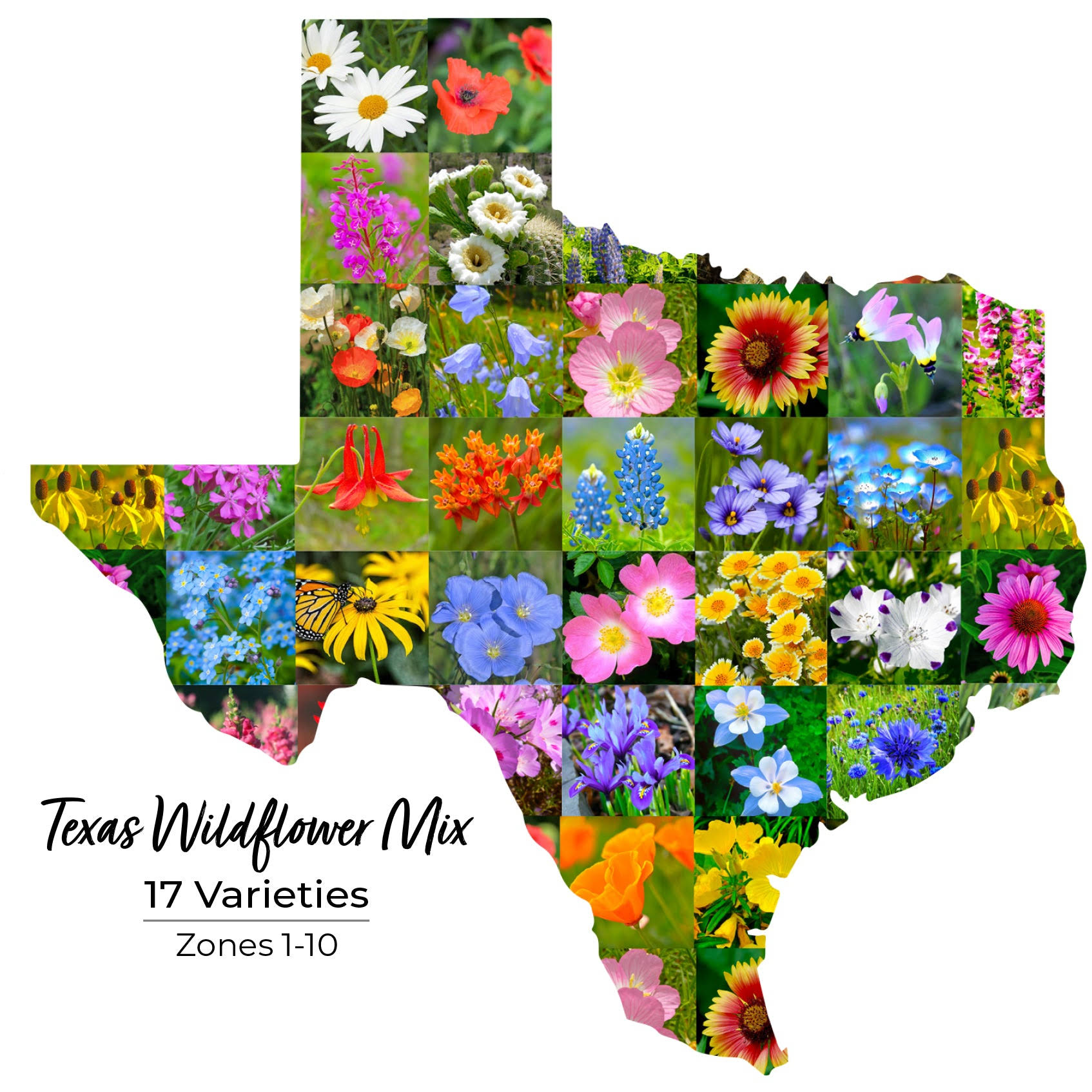 2ff99d68d667bc0bee5304812e8a3b477d3beb7b948d182f504d7902cac871d5.jpg Texas Wildflower Seed Mix - Image 1