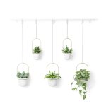 Umbra Triflora Hanging Planter Set of 5 White/Brass