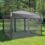 Aoodor Pop Up Canopy Tent with Removable Mesh Sidewalls, Portable Instant Shade Canopy with Roller Bag, Size: 12' x 12', Black