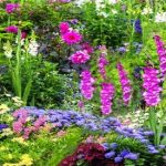 Bee & Butterfly Blooming Flower Bulb Collection - Pack of 100