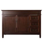 Ashburn 48 in. W x 21.63 in. D x 34 in. H Bath Vanity Cabinet without Top in Mahogany