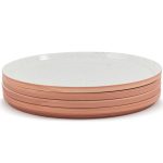 Our Place Set of 4 Dinner Plates in Spice at Nordstrom
