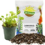 Carnivorous Plant Potting Soil Mix, Ideal Amendment for Venus Fly Traps, Sundews, and Pitcher Plants 4 Quarts
