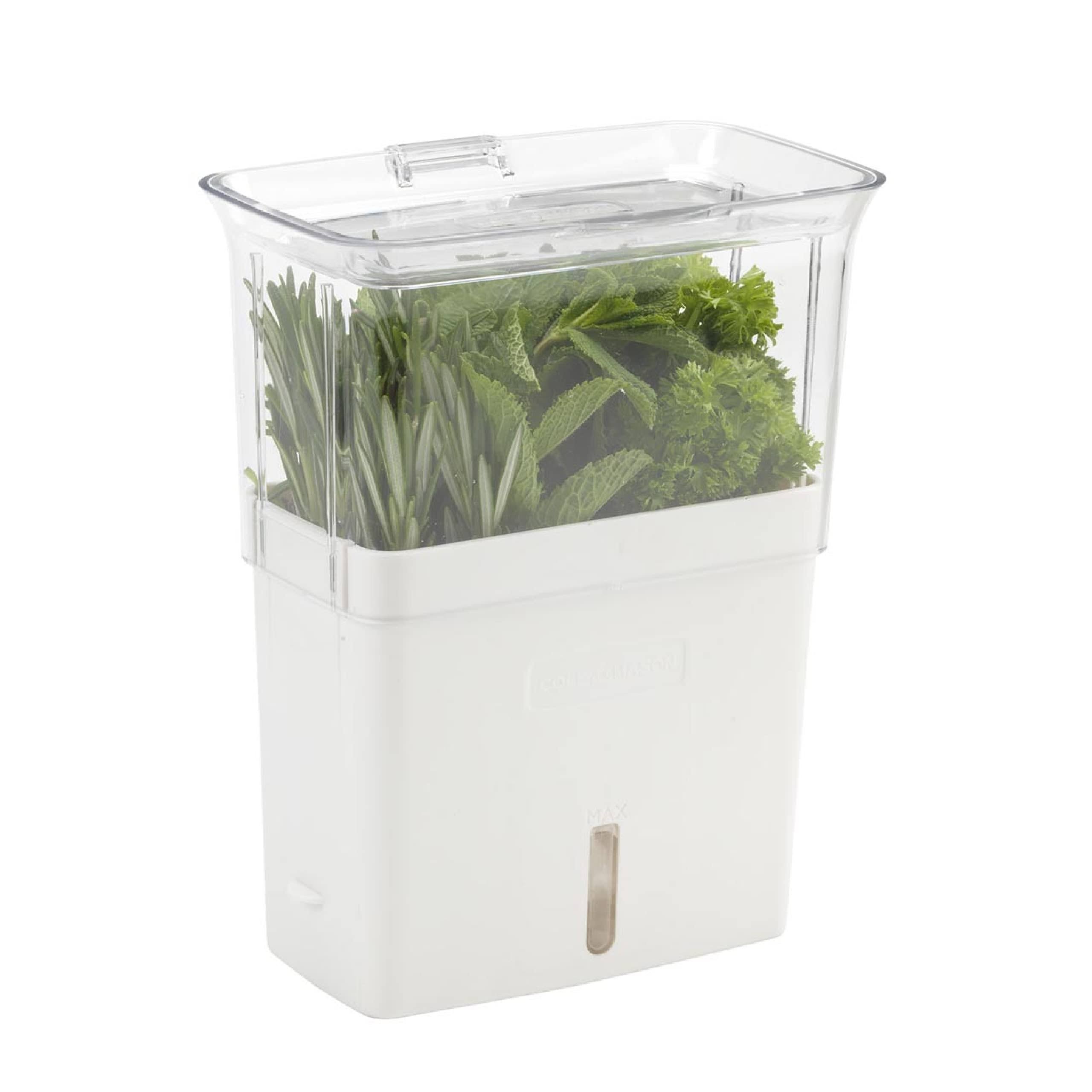 Cole & Mason Fresh Herb Keeper