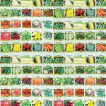 Valley Greene 100 Assorted Heirloom Vegetable Seeds 100% Non-GMO (100 Deluxe Assorted Vegetable Seeds)
