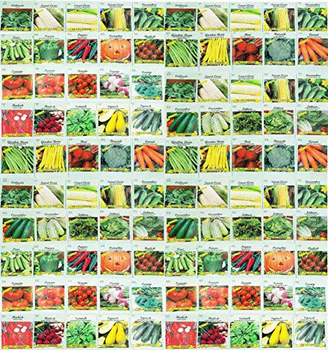 38e234c1e67b3a4146440b312ae66c3a5e9d157ecc950feb691a0c7ff7afa77a.jpg Valley Greene 100 Assorted Heirloom Vegetable Seeds 100% Non-GMO (100 Deluxe Assorted Vegetable Seeds) - Image 1