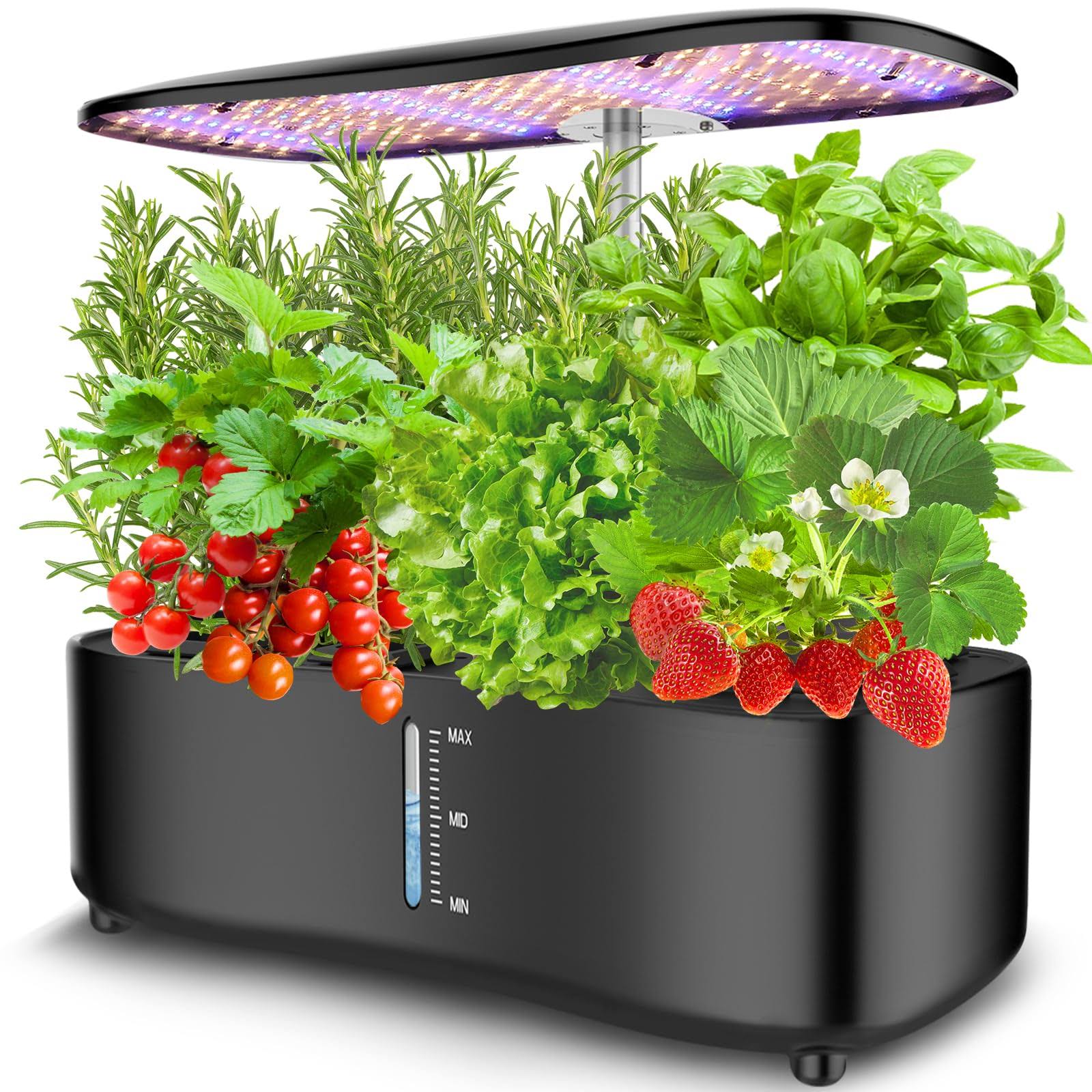 3a4770cf89c60a41f0e547e0e9dd9e8d7fcb737c859884ac284128513b8ee571.jpg KICHGARDEN Large Tank Hydroponics Growing System 12 Pods, Herb Garden Kit Indoor with Grow Lights, Plants Germination Kit with Quiet Water Pump, Auto - Image 1