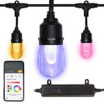 Hampton Bay 24-Light 48 ft. Outdoor Plug-In Integrated LED Black Edison Bulb RGBW Color Changing String Light Powered by Hubspace