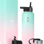 Iron Flask Wide Mouth Water Bottle with Straw Lid Bubblegum 40 oz
