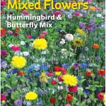 Burpee Hummingbird & Butterfly Wildflower Seeds - Each