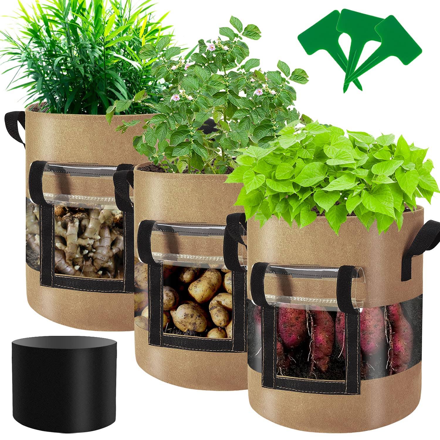 3e4d83d9845a2927c37309b5750adcd7873b2b49621ce60cf4b0d38672b88c9a.jpg Florelf Visible Strawberry Sweet Potato Grow Bags 7 Gallon with Flap Window 3-Pack, Heavy Duty Thickened Aeration Nonwoven Fabric Pots with Handles, - Image 1